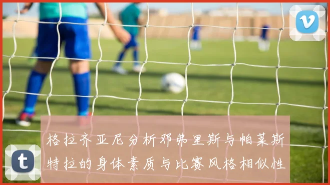 格拉齐亚尼分析邓弗里斯与帕莱斯特拉的身体素质与比赛风格相似性